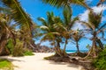 Grand Anse - one of the most beautiful beach of Seychelles. La Digue Island, Seychelles Royalty Free Stock Photo