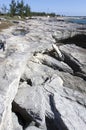 Grand Bahama Eroded Shore And The Warning Sign