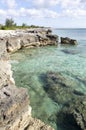 Grand Bahama Green Water And Eroded Shore