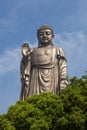 Grand Buddha at Lingshan Royalty Free Stock Photo