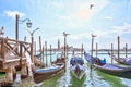 Grand canal in Venice, Piazza San Marco. Seagulls water freedom. Serene sight. Scenic cityscape with gondolas Royalty Free Stock Photo