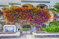 Grand Canary Traveling. House Entrance With Colorful Perennial Flowers on Gran Canaria Island or Canary Islands in Spain