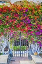 Grand Canary Traveling. House Entrance With Colorful Perennial Flowers on Gran Canaria Island or Canary Islands in Spain