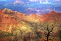 Grand Canyon Royalty Free Stock Photo