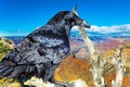 Grand Canyon Arizona USA Royalty Free Stock Photo