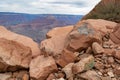 Grand Canyon - Close up view of wild cute squirrel standing on a rock formation along South Kaibab hiking trail, Arizona Royalty Free Stock Photo