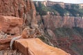 Grand Canyon - Close up view of wild cute squirrel standing on a rock formation along South Kaibab hiking trail, Arizona Royalty Free Stock Photo