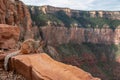 Grand Canyon - Close up view of wild cute squirrel standing on a rock formation along South Kaibab hiking trail, Arizona Royalty Free Stock Photo