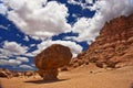 Grand Canyon Desert