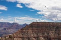 Grand Canyon - Flock of black birds  flying over South Rim of Grand Canyon National Park, Arizona, USA Royalty Free Stock Photo