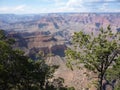 Grand Canyon 1