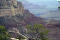 Grand canyon landscape, Arizona, USA Royalty Free Stock Photo