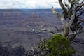 Grand canyon landscape, Arizona, USA Royalty Free Stock Photo