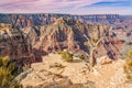 Grand Canyon Landscape Royalty Free Stock Photo