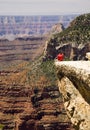 Grand canyon lookout Royalty Free Stock Photo