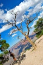 Grand Canyon meditation Royalty Free Stock Photo