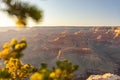 The Grand Canyon is a mesmerizing sight at sunset, where the vibrant, colorful sky meets a blurred yet enchanting foreground