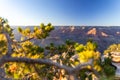 The Grand Canyon is a mesmerizing sight at sunset, where the vibrant, colorful sky meets a blurred yet enchanting foreground