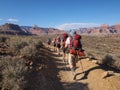 Backpackers on the Tonto Trail in the Grand Canyon.