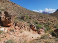 Grand Canyon National Park, Arizona.