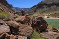 Backpackers on backcountry trail by Colorado River in Grand Canyon.