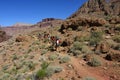 Backpackers on Grand Canyon National Park backcountry trail.