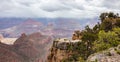 Grand Canyon, Arizona, USA. Overlook of the red rocks, cloudy sky background