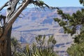 Grand Canyon National Park