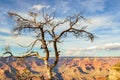 Grand Canyon National Park in Arizona, USA Royalty Free Stock Photo
