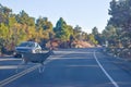 A deer crosses Desert View Drive in Grand Canyon National Park to get to the forest, stopping traffic in late afternoon Royalty Free Stock Photo