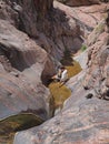 Monument Creek in Grand Canyon National Park, Arizona.