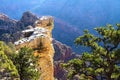 Grand Canyon National Park Royalty Free Stock Photo