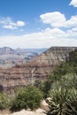 Grand Canyon National Park