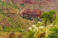 Grand Canyon National Park Mother Point and Amphitheater Royalty Free Stock Photo
