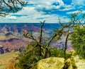 Grand Canyon National Park Mother Point and Amphitheater Royalty Free Stock Photo