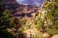 Grand Canyon National Park, North Rim. Landscape Canyon national park. Red rocks canyon in Utah. Canyon landscape desert Royalty Free Stock Photo