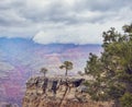 Grand Canyon National Park, South Rim ,Arizona, USA Royalty Free Stock Photo
