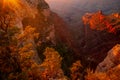 Grand Canyon north rim at golden sunset, Arizona. Canyon panoramic landscape. National Park, Arizona. Colorado desert Royalty Free Stock Photo