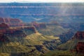 Grand Canyon North Rim Green With Trees Wisp of Verga