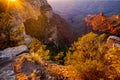 Grand Canyon north rim at sunset, Arizona. National Park, Arizona. Canyon desert panoramic view landscape. Royalty Free Stock Photo