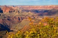 Grand Canyon Overview Royalty Free Stock Photo
