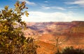 Grand Canyon Overview Royalty Free Stock Photo