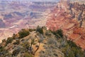 Grand Canyon panorama.