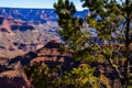 The Grand Canyon`s Stunning Sheer Drop-offs