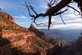 Grand Canyon - Silhouette of lone gnarled tree branch at sunrise with aerial view of Bright Angel hiking trail at South Rim