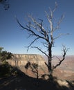 Grand Canyon Southrim Sunrise Royalty Free Stock Photo