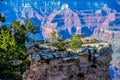 Grand Canyon sunny day with blue sky Royalty Free Stock Photo