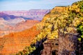 Grand Canyon sunny day with blue sky Royalty Free Stock Photo