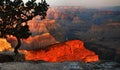 Grand Canyon At Sunrise