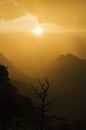 Grand canyon at sunset Royalty Free Stock Photo